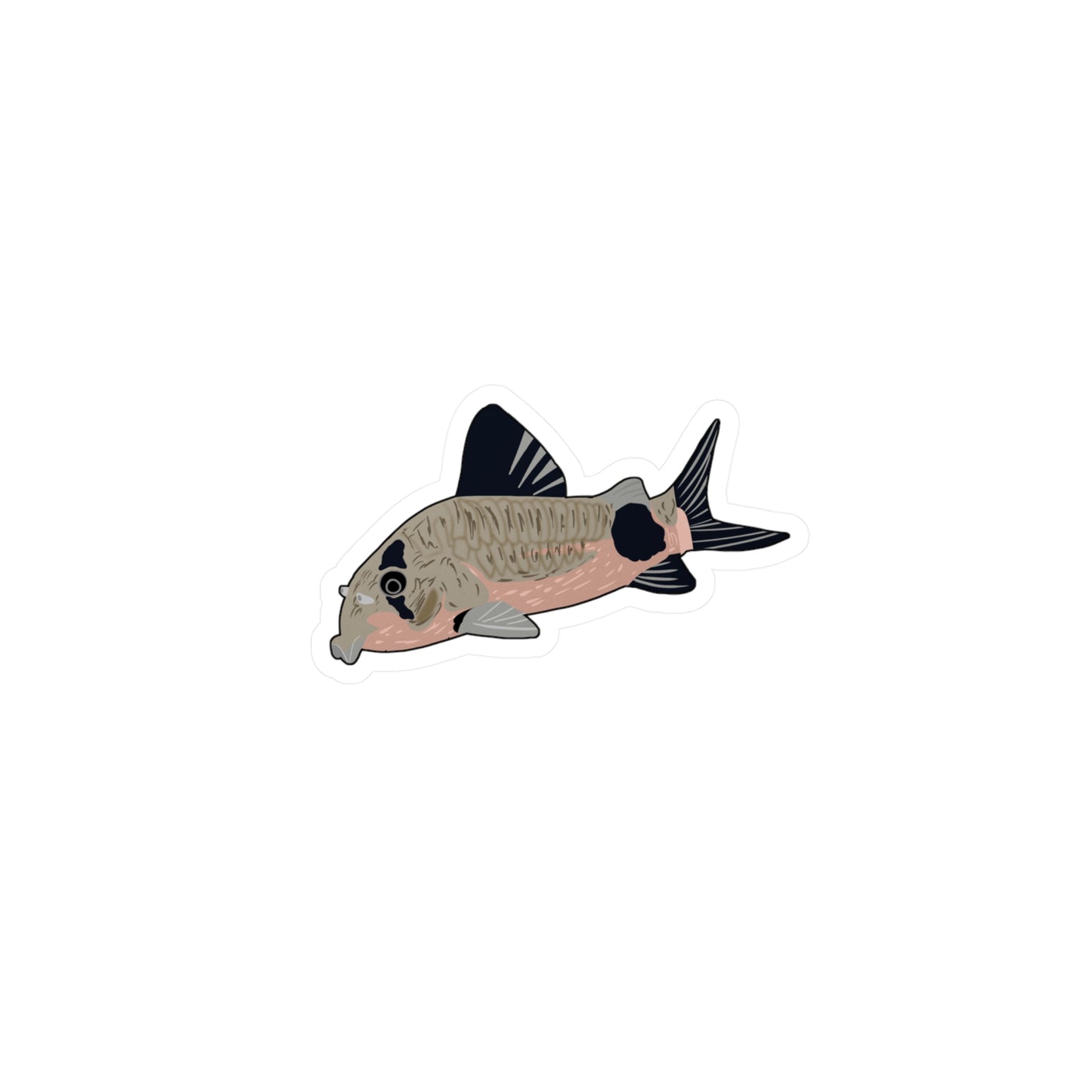 Corydora Catfish Sticker