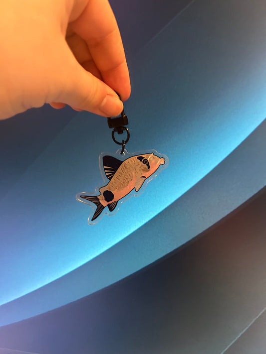 Panda corydora catfish keychain